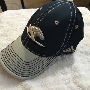 🆕Longwood Lancers Adidas Hat
